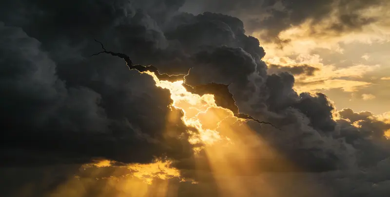 眉山肺癌8基因突变检测（组织）图片1