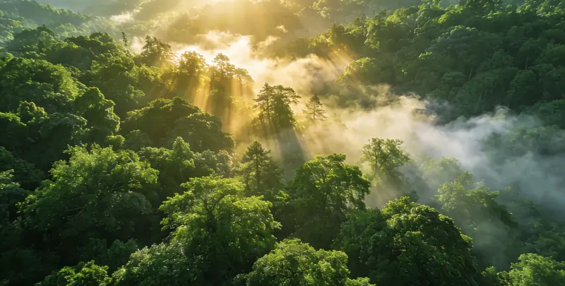 眉山肺癌靶向120基因检测（组织）图片1