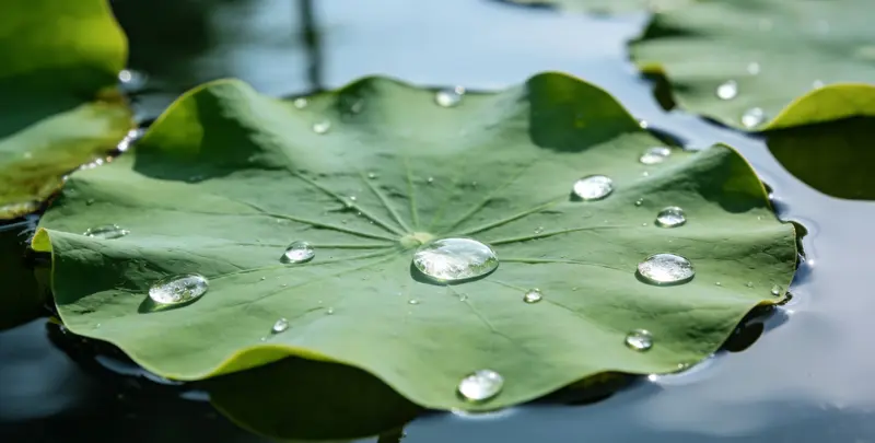 眉山乳腺癌21基因mRNA表达分析图片1